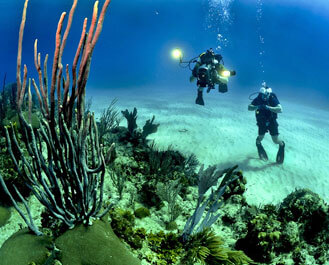 Qatar Divers
