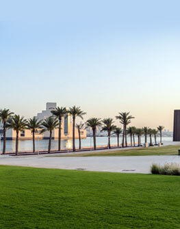 MIA Park
