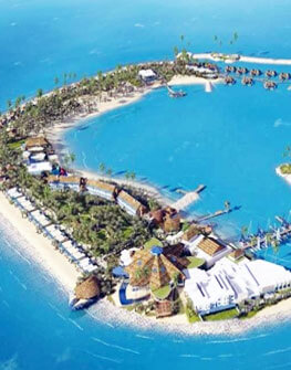 The Banana Island